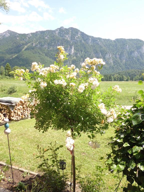 Gaestehaus Barbara Schwaiger Inzell Εξωτερικό φωτογραφία